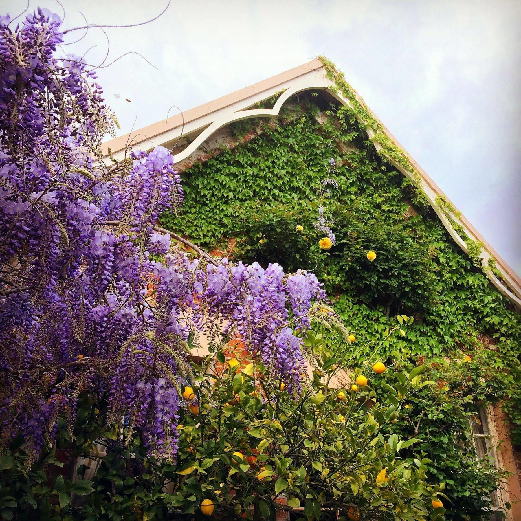 The Racecourse Inn Longford 외부 사진